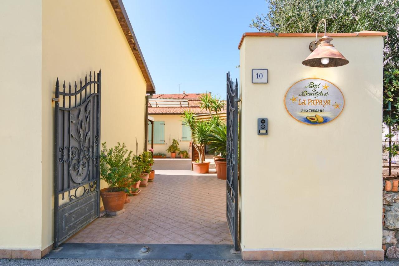 Hotel La Papaya Marina Di Pisa Exteriér fotografie