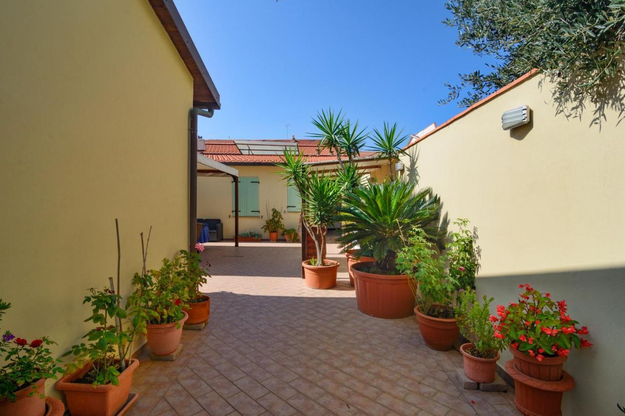 Hotel La Papaya Marina Di Pisa Exteriér fotografie