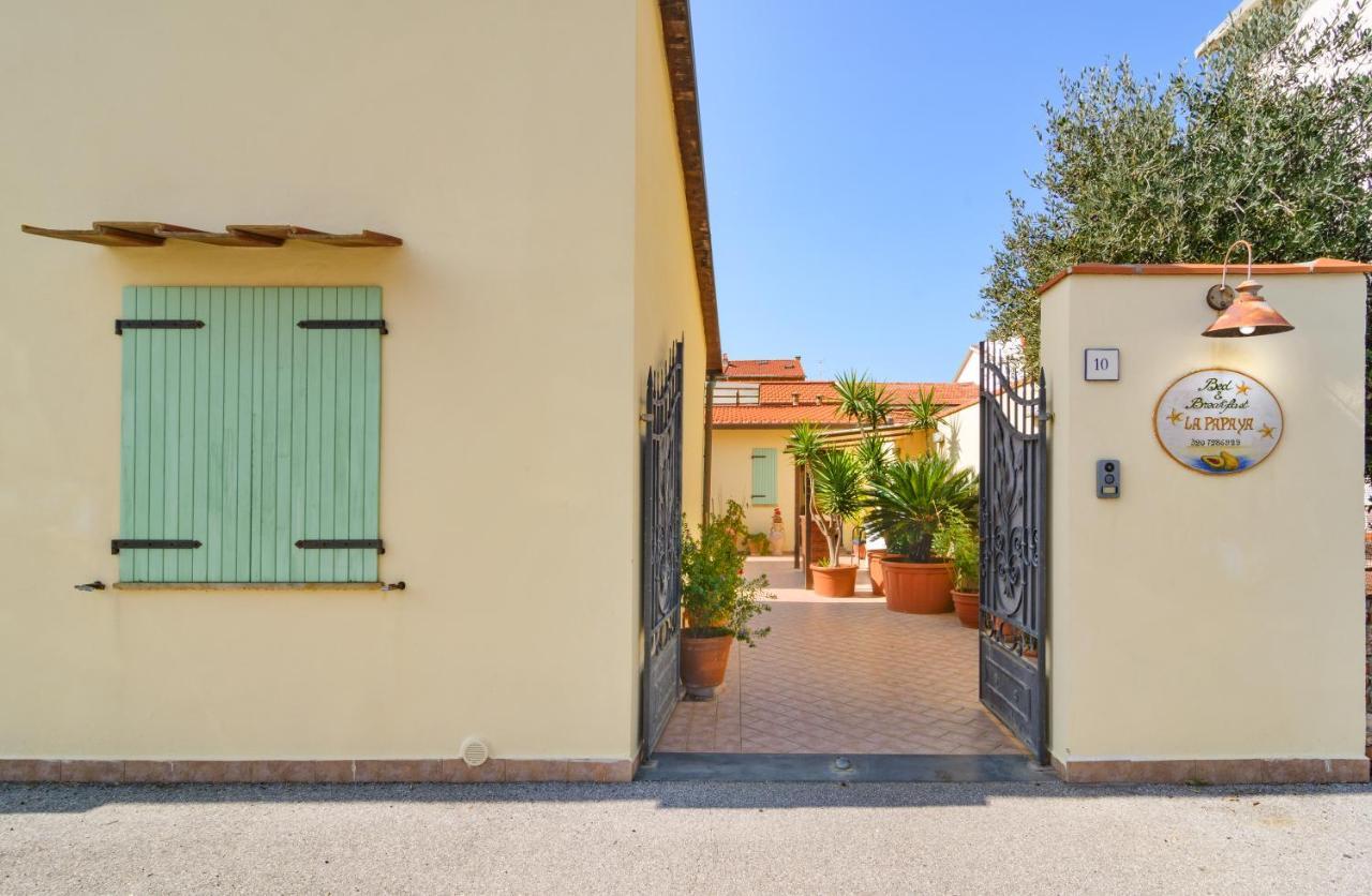 Hotel La Papaya Marina Di Pisa Exteriér fotografie